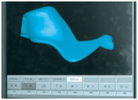 ccc005.jpg